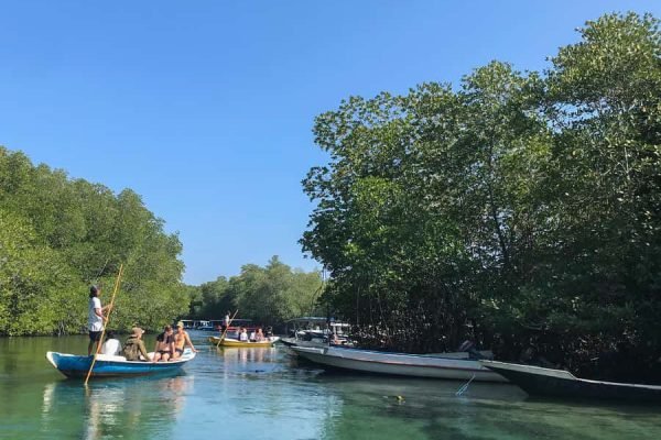 WhatsApp Image 2025-12-20 at 15.35.25