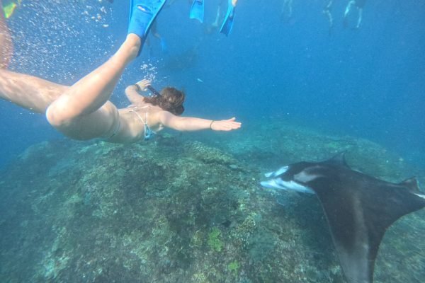 WhatsApp Image 2025-12-26 at 09.38.46