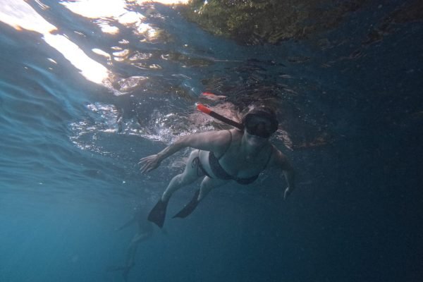 WhatsApp Image 2025-12-26 at 09.38.51