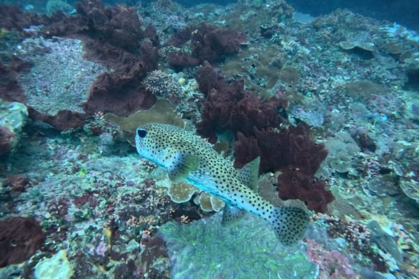 WhatsApp Image 2025-12-26 at 09.38.52