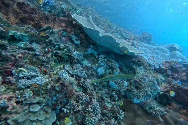 WhatsApp Image 2025-12-26 at 09.38.54