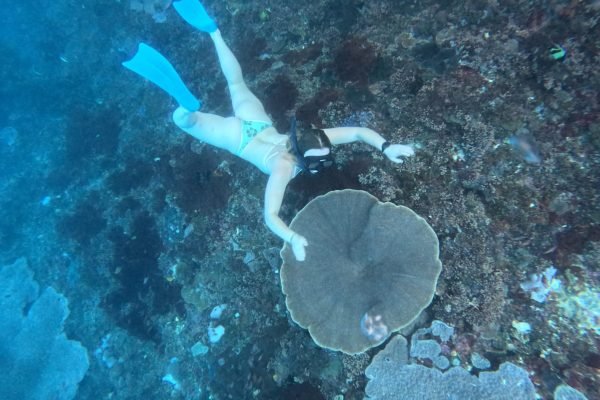 WhatsApp Image 2025-12-26 at 09.38.55 (1)