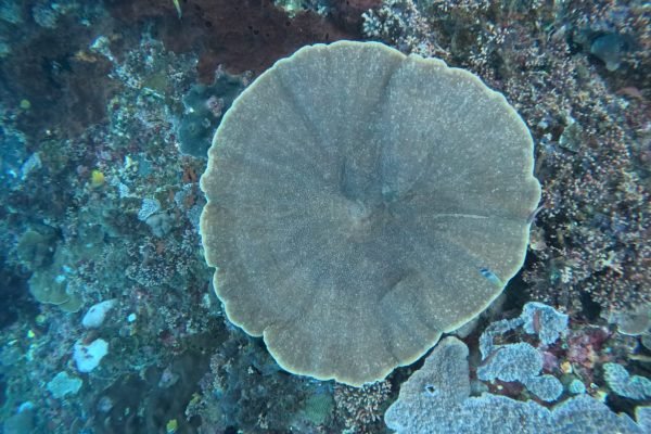 WhatsApp Image 2025-12-26 at 09.38.55