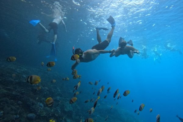 WhatsApp Image 2025-12-26 at 09.38.56