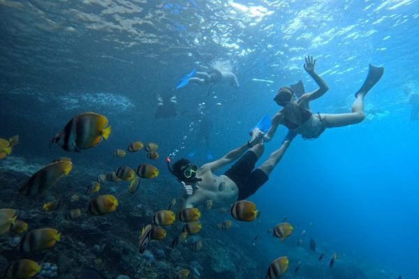 WhatsApp Image 2025-12-26 at 09.38.57