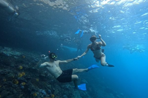 WhatsApp Image 2025-12-26 at 09.38.58