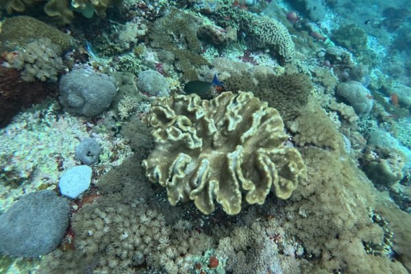 WhatsApp Image 2025-12-26 at 09.38.59 (1)