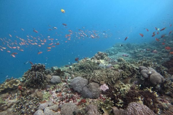 WhatsApp Image 2025-12-26 at 09.39.00