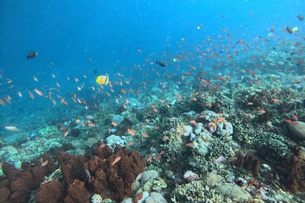 WhatsApp Image 2025-12-26 at 09.39.01