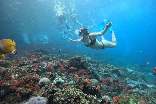 WhatsApp Image 2025-12-26 at 09.39.03 (1)