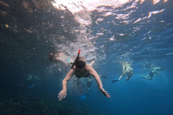 WhatsApp Image 2025-12-26 at 09.39.03