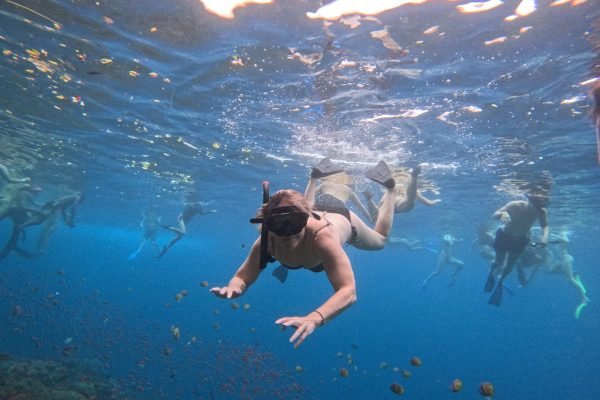 WhatsApp Image 2025-12-26 at 09.39.04