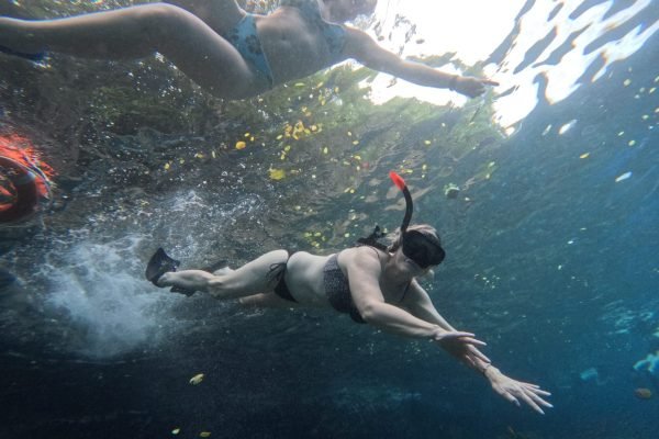 WhatsApp Image 2025-12-26 at 09.39.05