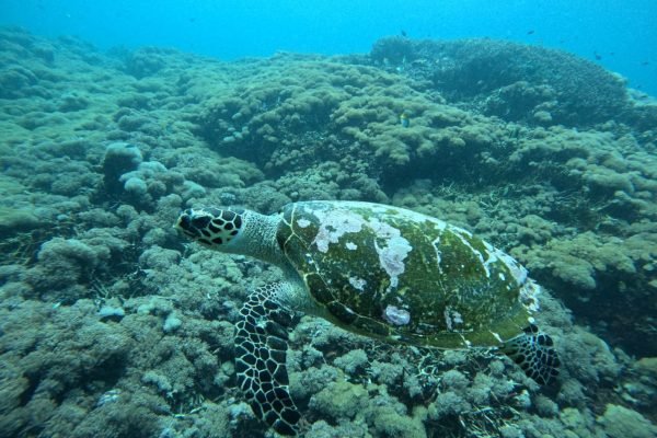 WhatsApp Image 2025-12-26 at 09.39.06