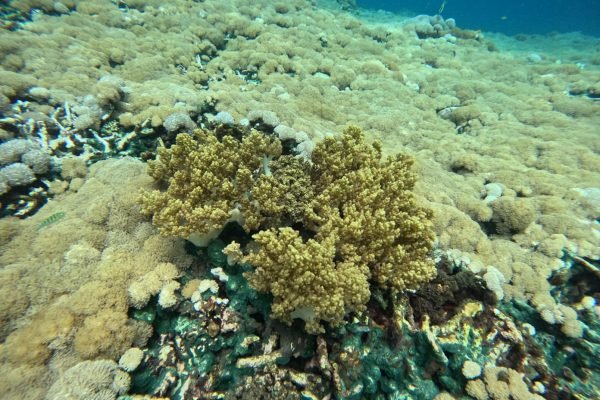 WhatsApp Image 2025-12-26 at 09.39.07