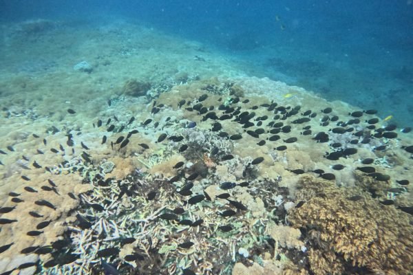 WhatsApp Image 2025-12-26 at 09.39.08