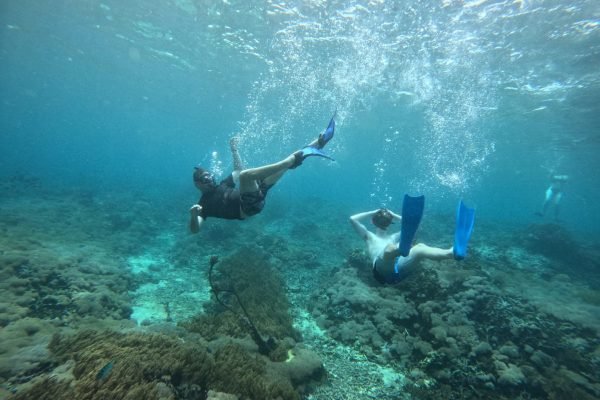 WhatsApp Image 2025-12-26 at 09.39.10