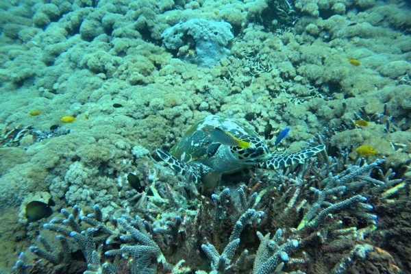 WhatsApp Image 2025-12-26 at 09.39.11 (1)