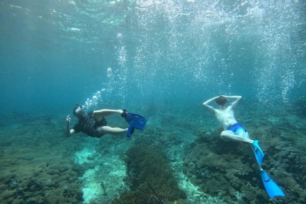 WhatsApp Image 2025-12-26 at 09.39.11