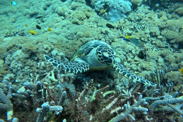 WhatsApp Image 2025-12-26 at 09.39.12